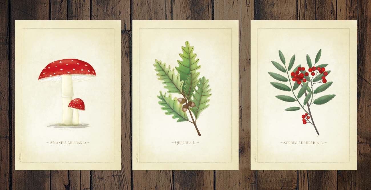 Botaniczne plakaty do druku